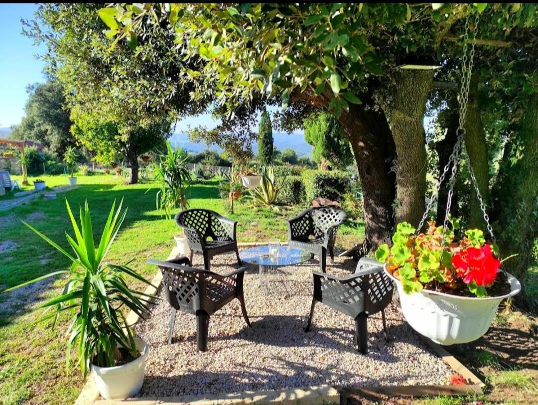 Agriturismo Podere Le Palaie Monterotondo  Exterior photo